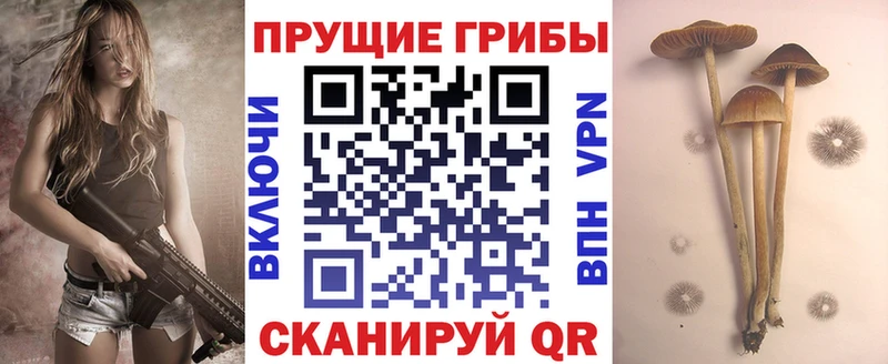 Галлюциногенные грибы Magic Shrooms  Апатиты 