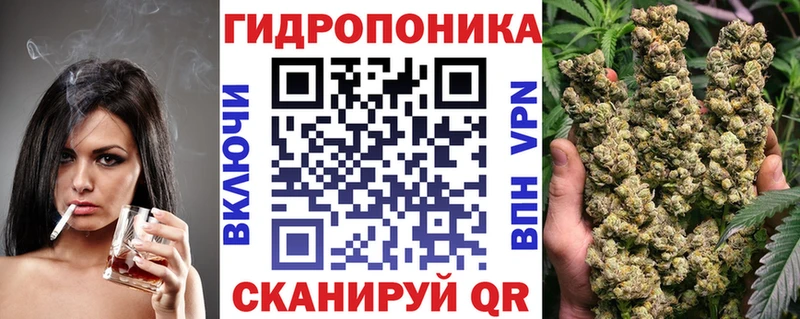 Бошки Шишки гибрид  Апатиты 
